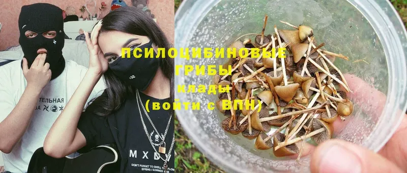 Галлюциногенные грибы Psilocybe  KRAKEN ссылки  Биробиджан  продажа наркотиков 